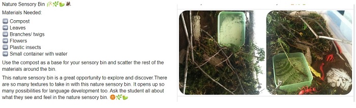 Nature Sensory Bin.