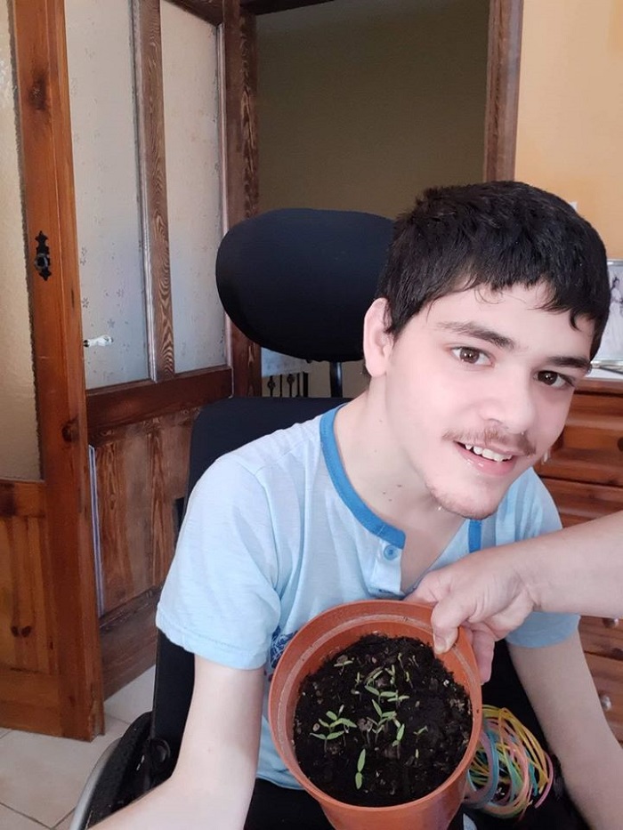 Planting Tomatoes