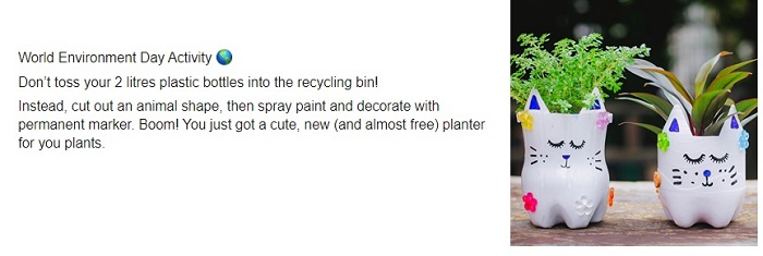 Craft: World Environment Day Activity 