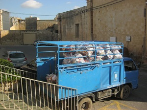 Transporting the plastic caps