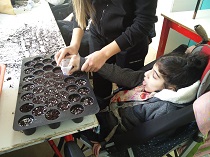 Luana compressing the compost in the pots .