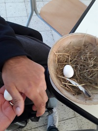 The second egg follows .